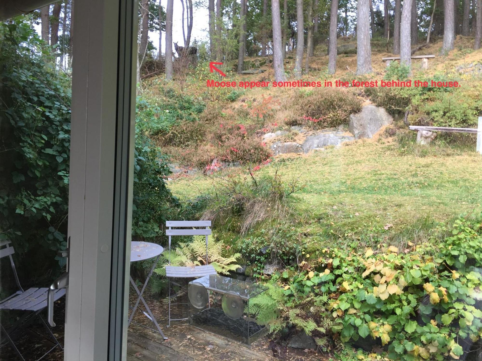 House With Green Garden, Goeteborg, 6 Beds Lindome 外观 照片